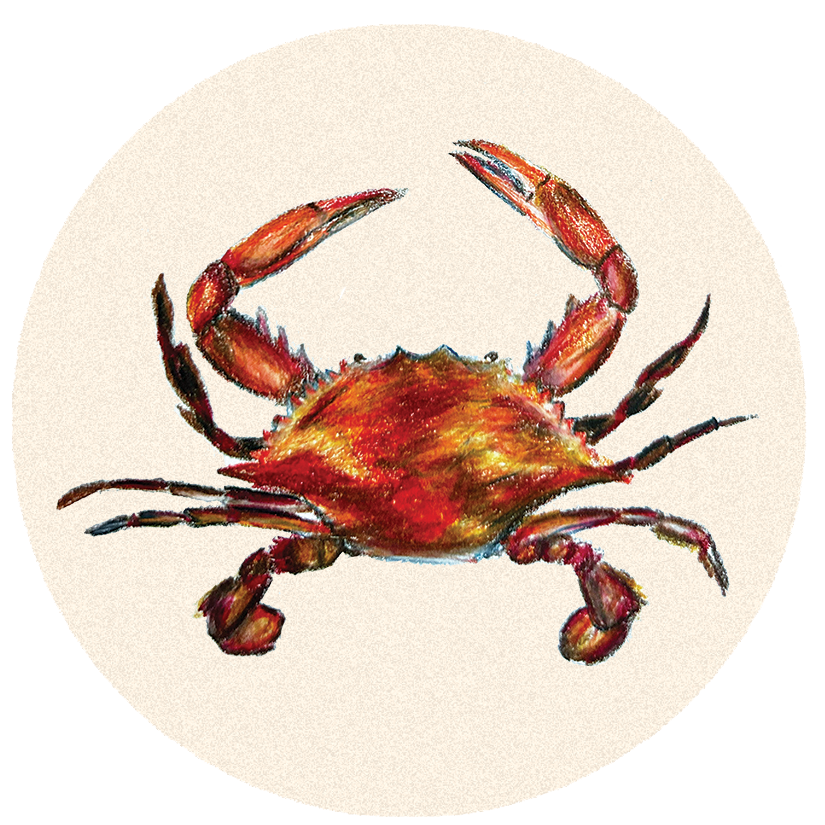 Crab Dish