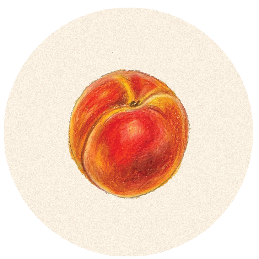 Peach Dish