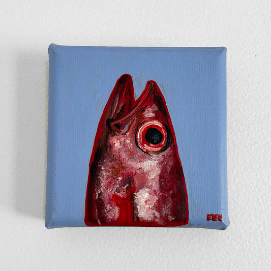 Snapper (June 2026)